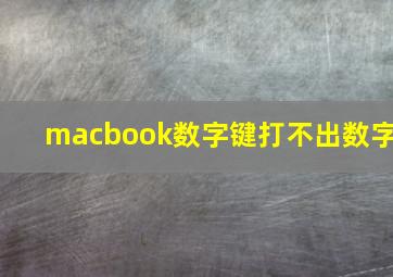 macbook数字键打不出数字