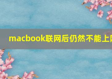 macbook联网后仍然不能上网