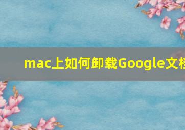 mac上如何卸载Google文档