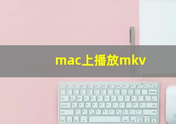 mac上播放mkv