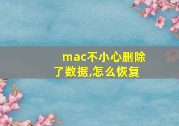 mac不小心删除了数据,怎么恢复