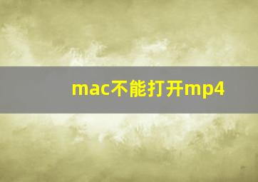 mac不能打开mp4