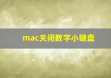 mac关闭数字小键盘