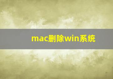 mac删除win系统