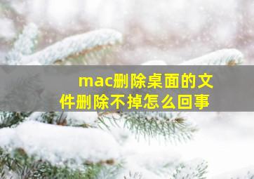 mac删除桌面的文件删除不掉怎么回事