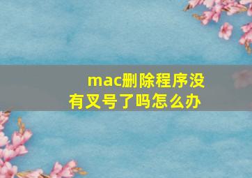 mac删除程序没有叉号了吗怎么办