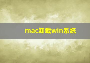 mac卸载win系统