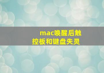 mac唤醒后触控板和键盘失灵