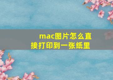 mac图片怎么直接打印到一张纸里