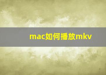 mac如何播放mkv