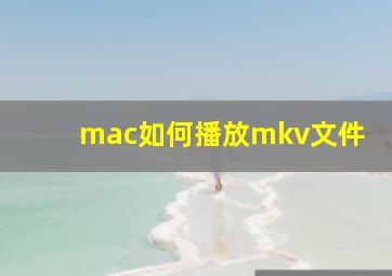 mac如何播放mkv文件