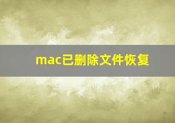 mac已删除文件恢复