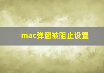 mac弹窗被阻止设置