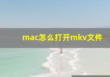 mac怎么打开mkv文件