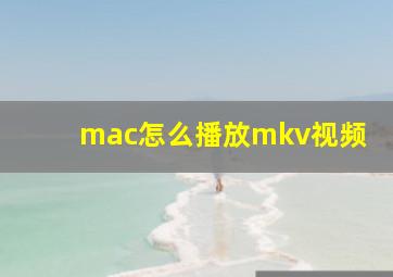 mac怎么播放mkv视频