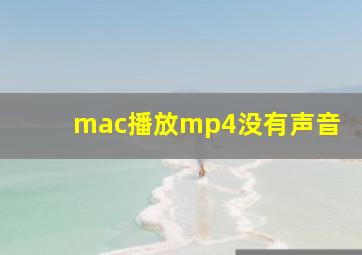 mac播放mp4没有声音