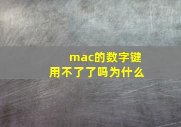 mac的数字键用不了了吗为什么