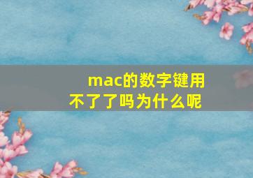 mac的数字键用不了了吗为什么呢