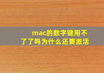 mac的数字键用不了了吗为什么还要激活