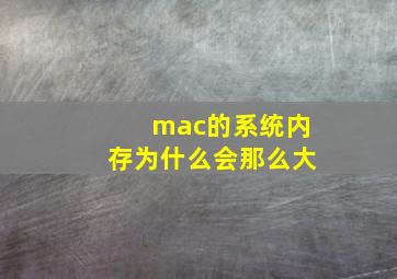 mac的系统内存为什么会那么大