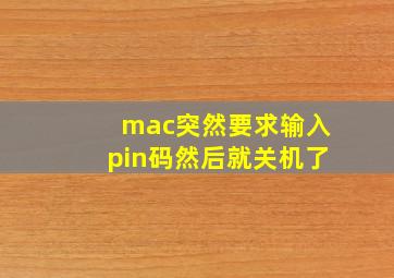 mac突然要求输入pin码然后就关机了