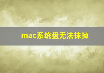 mac系统盘无法抹掉