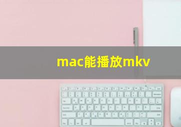 mac能播放mkv