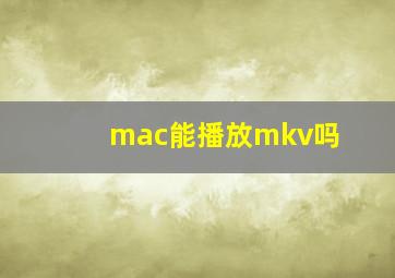 mac能播放mkv吗