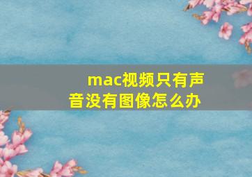 mac视频只有声音没有图像怎么办