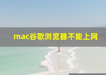 mac谷歌浏览器不能上网