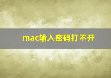 mac输入密码打不开