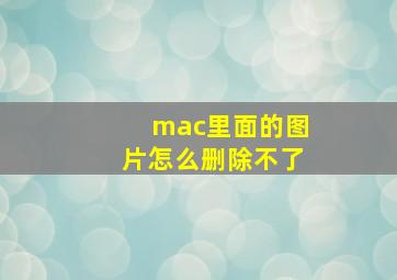 mac里面的图片怎么删除不了