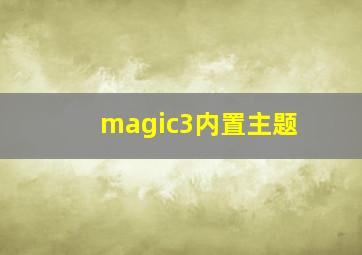 magic3内置主题