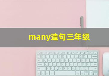 many造句三年级