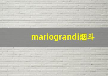 mariograndi烟斗