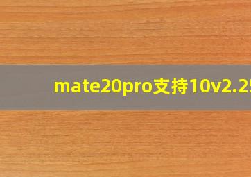 mate20pro支持10v2.25a