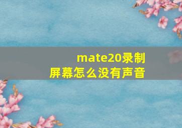 mate20录制屏幕怎么没有声音