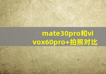 mate30pro和vivox60pro+拍照对比