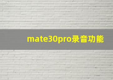 mate30pro录音功能