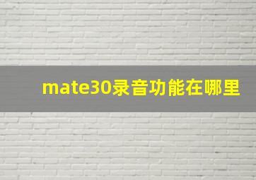 mate30录音功能在哪里