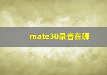 mate30录音在哪