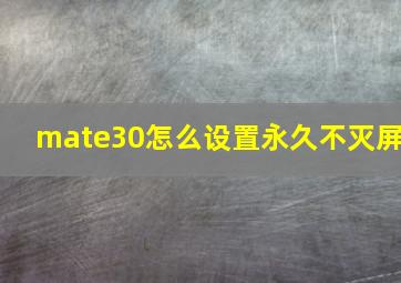 mate30怎么设置永久不灭屏