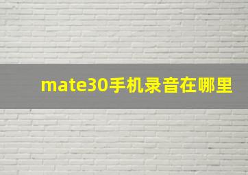 mate30手机录音在哪里