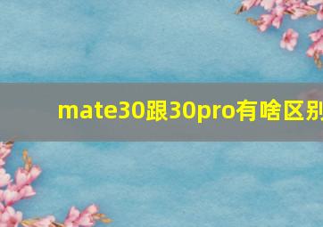 mate30跟30pro有啥区别