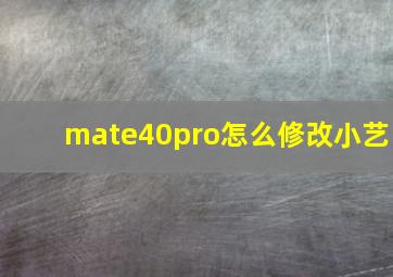 mate40pro怎么修改小艺