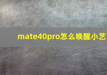 mate40pro怎么唤醒小艺