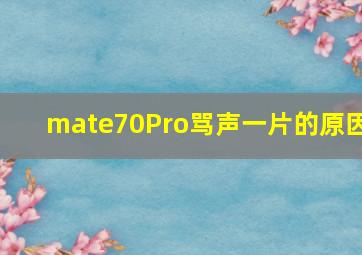 mate70Pro骂声一片的原因