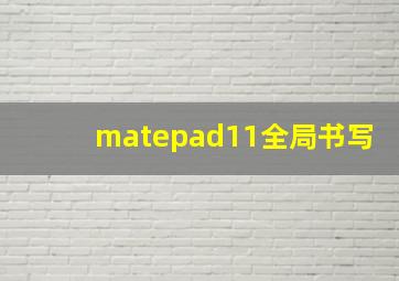 matepad11全局书写