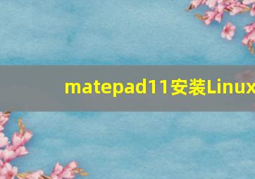 matepad11安装Linux