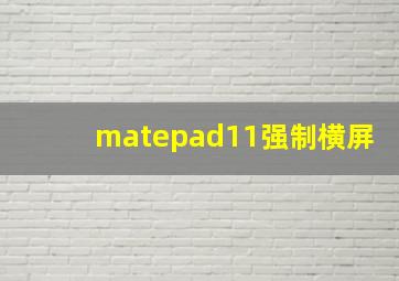 matepad11强制横屏